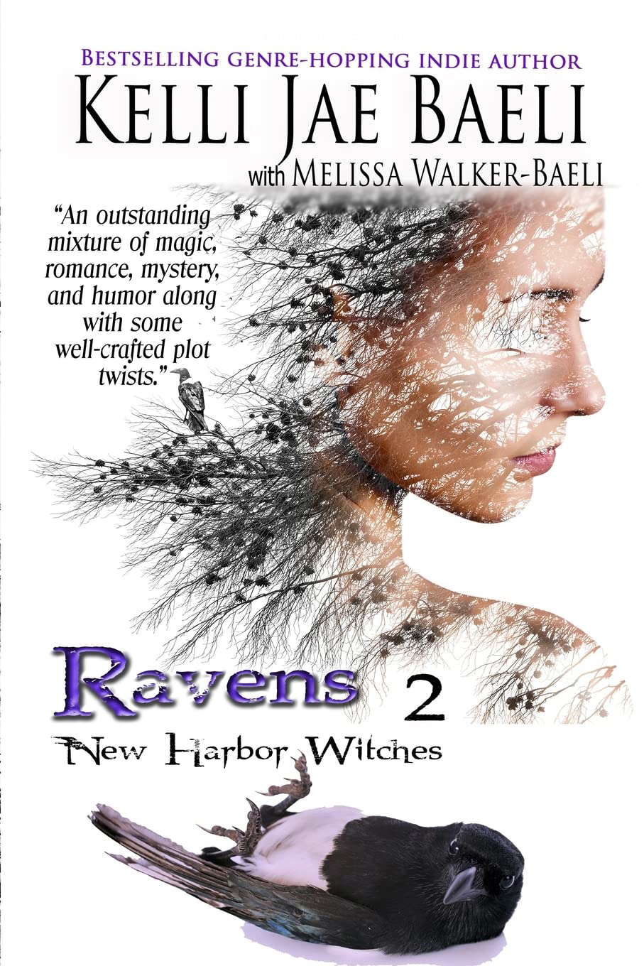 New Harbor Witches: Ravens poster