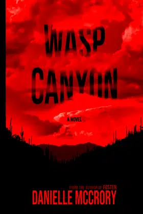 Wasp Canyon poster