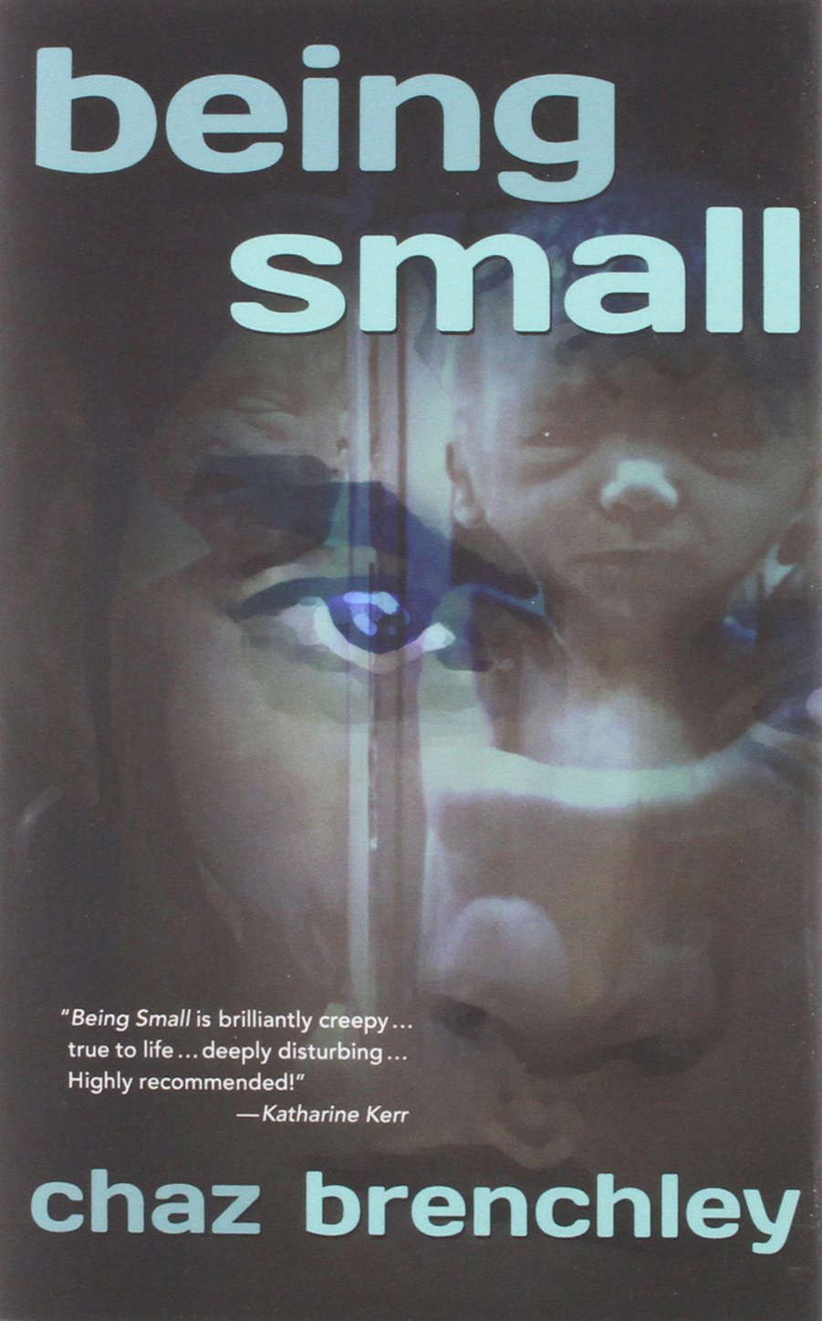 Being Small poster