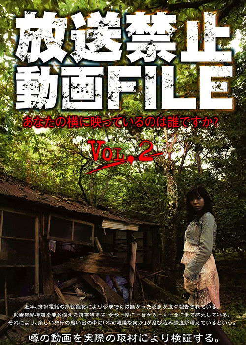 Banned Video File Vol. 2: Who's in the Picture Next to You? poster