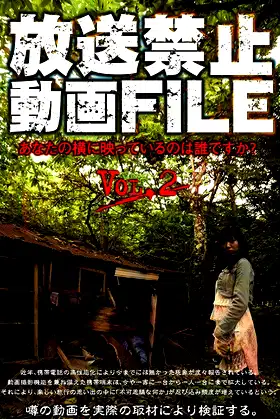 Banned Video File Vol. 2: Who's in the Picture Next to You? poster