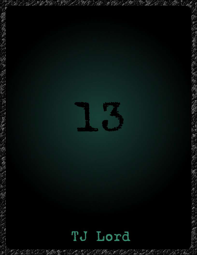 13 poster