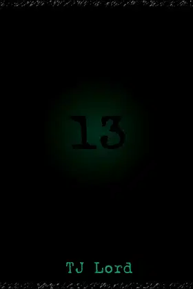 13 poster