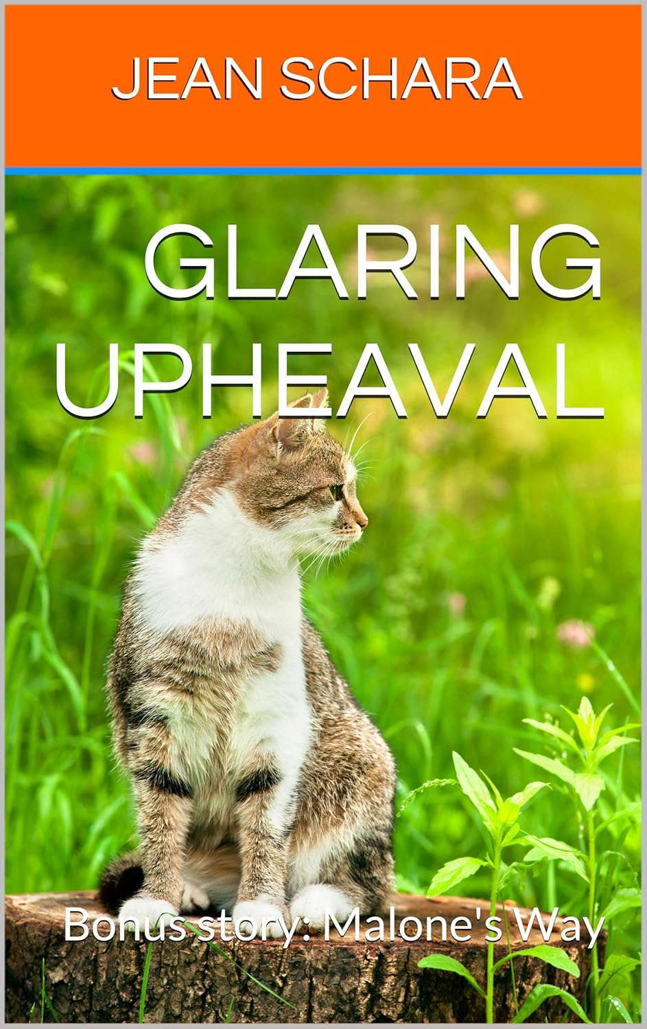 Glaring Upheaval: Bonus story: Malone's Way poster