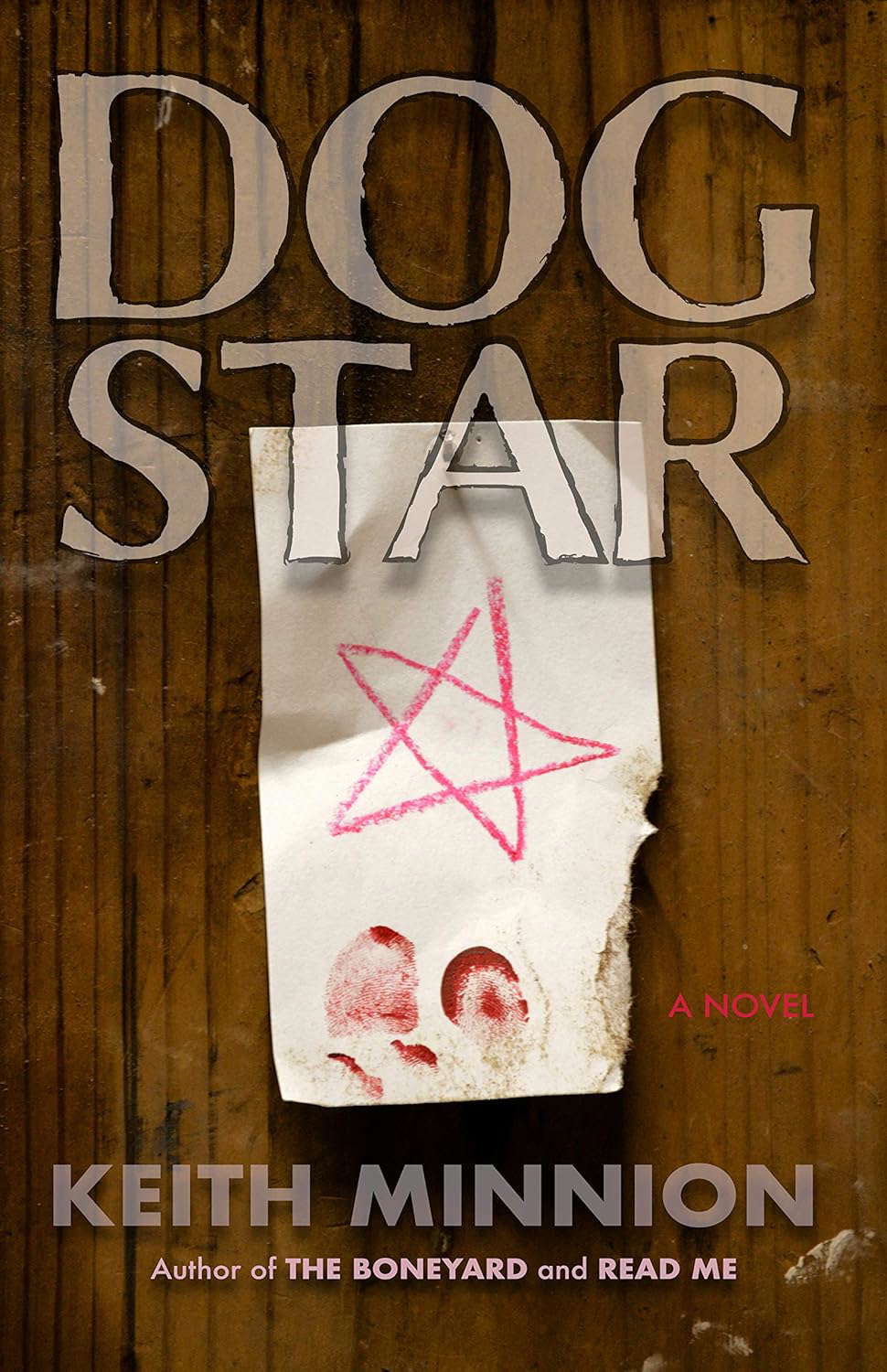Dog Star - a novel poster