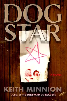 Dog Star - a novel poster