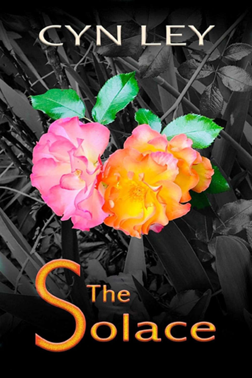THE SOLACE poster