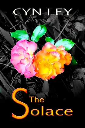 THE SOLACE poster