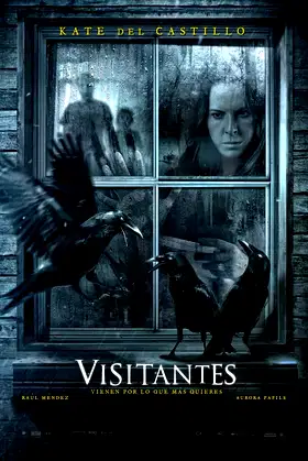 Visitors poster