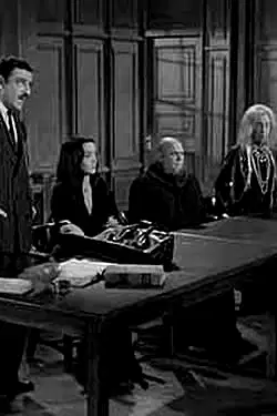 The Addams Family in Court poster