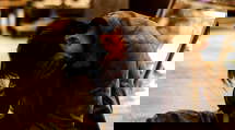 episode poster