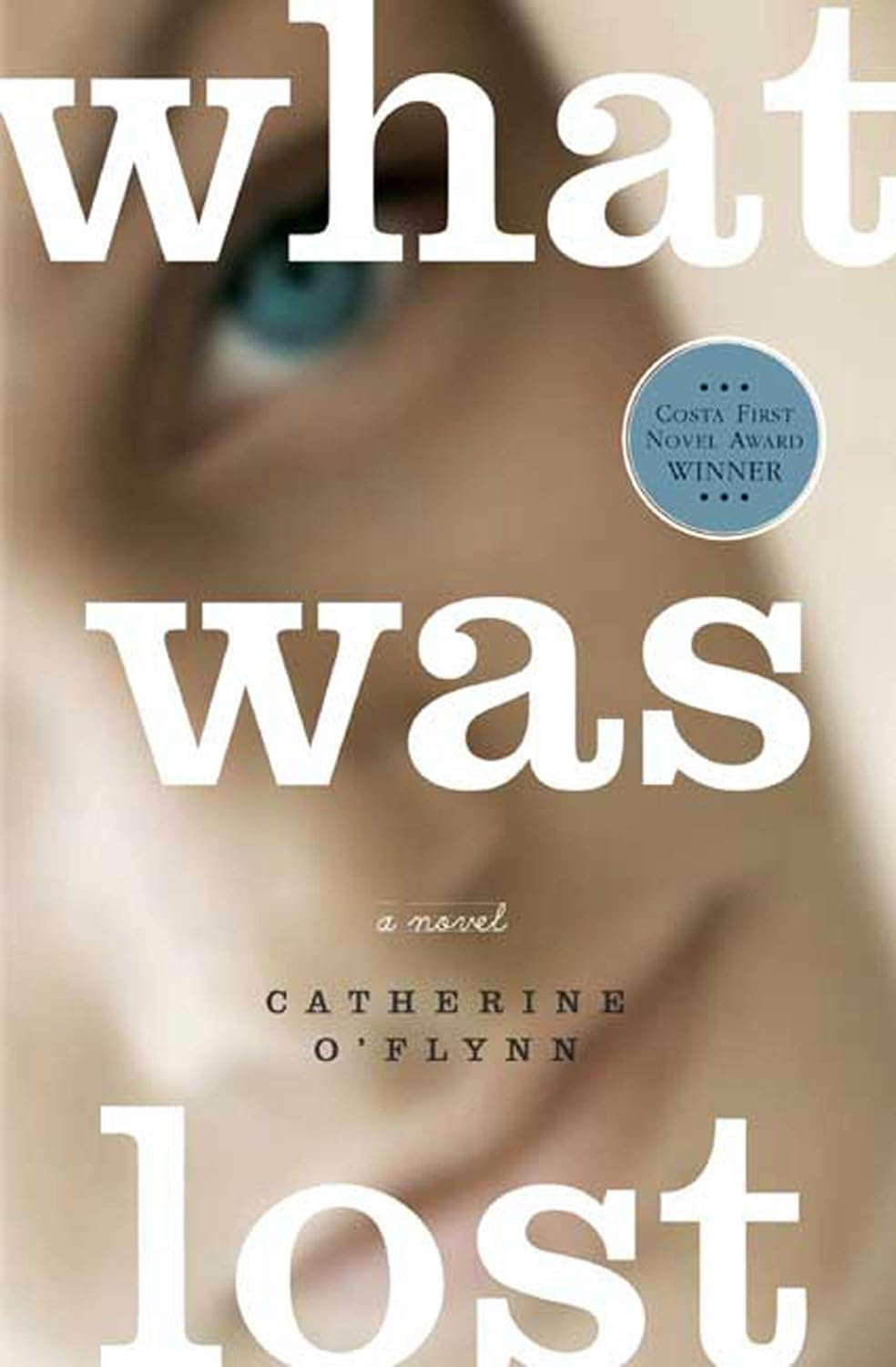 What Was Lost: A Novel poster