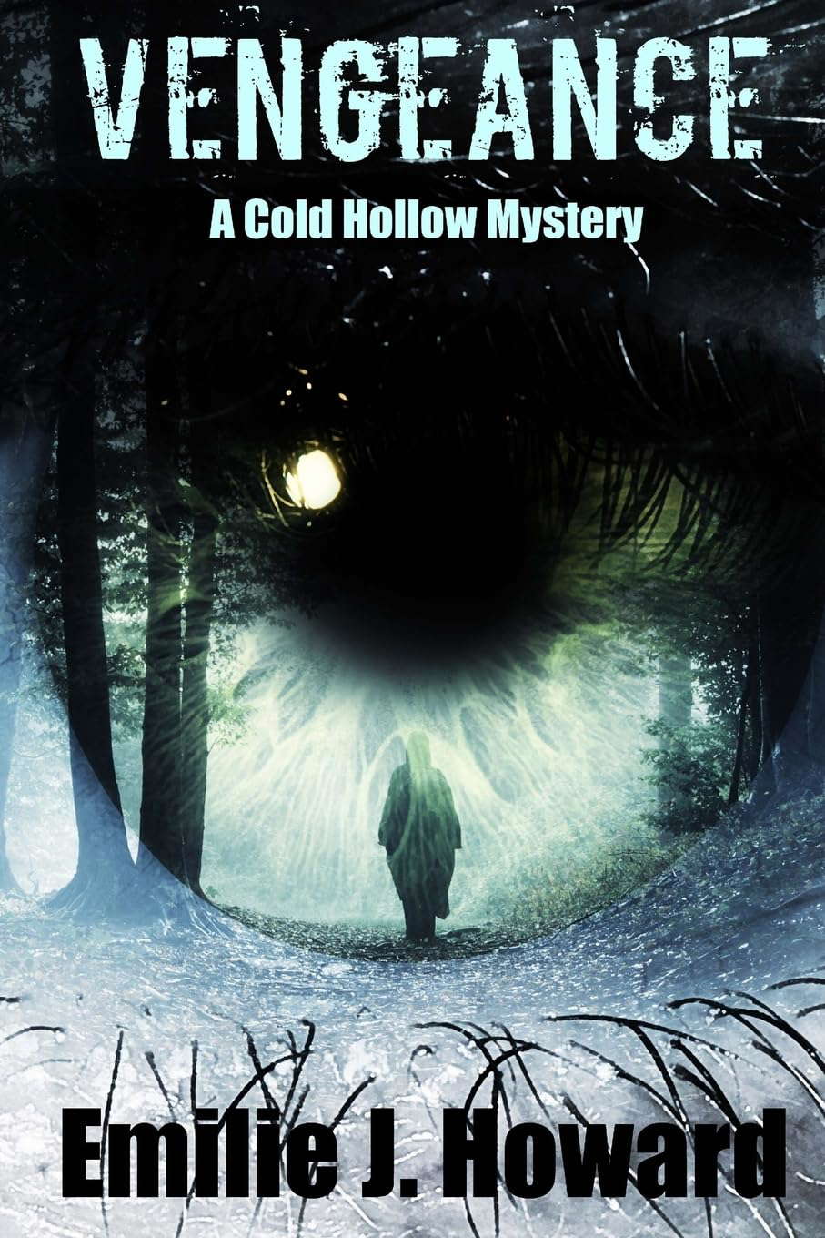 Vengeance (Cold Hollow Mysteries) poster