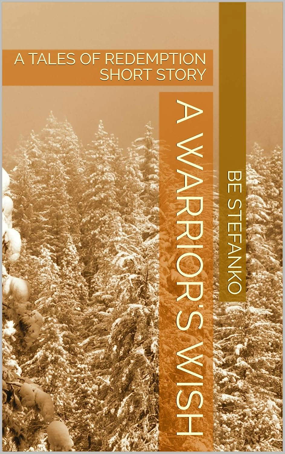 A Warrior's Wish: A TALES OF REDEMPTION SHORT STORY poster