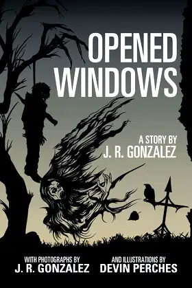Opened Windows poster