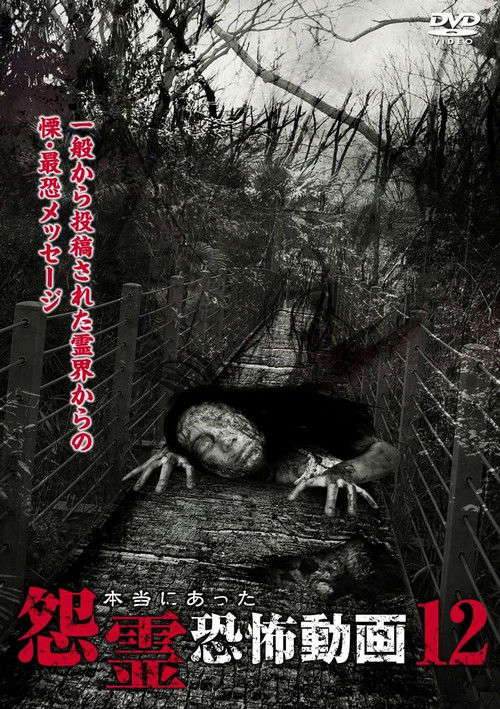 Real Vengeful Ghost Horror Video 12 poster