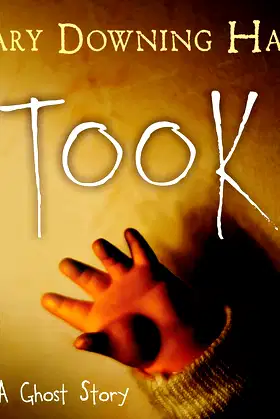 Took: A Ghost Story poster