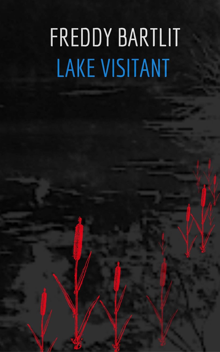 Lake Visitant poster