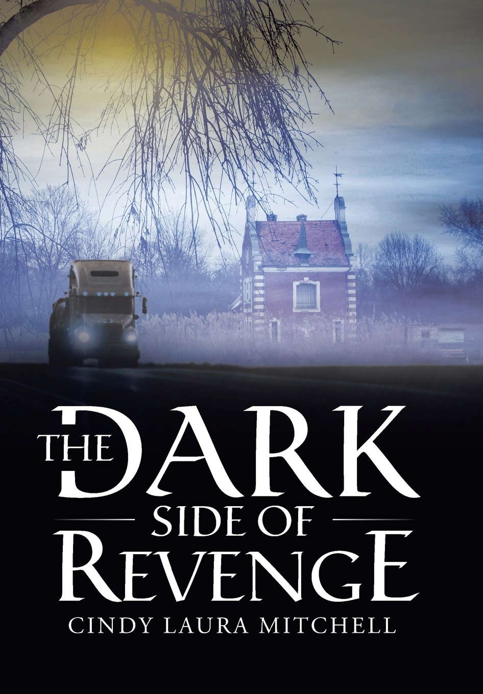 The Dark Side of Revenge poster