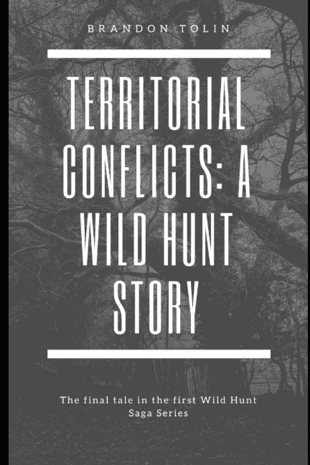 Territorial Conflicts: A Wild Hunt Story (The Saga of Einar: Wild Hunt) poster