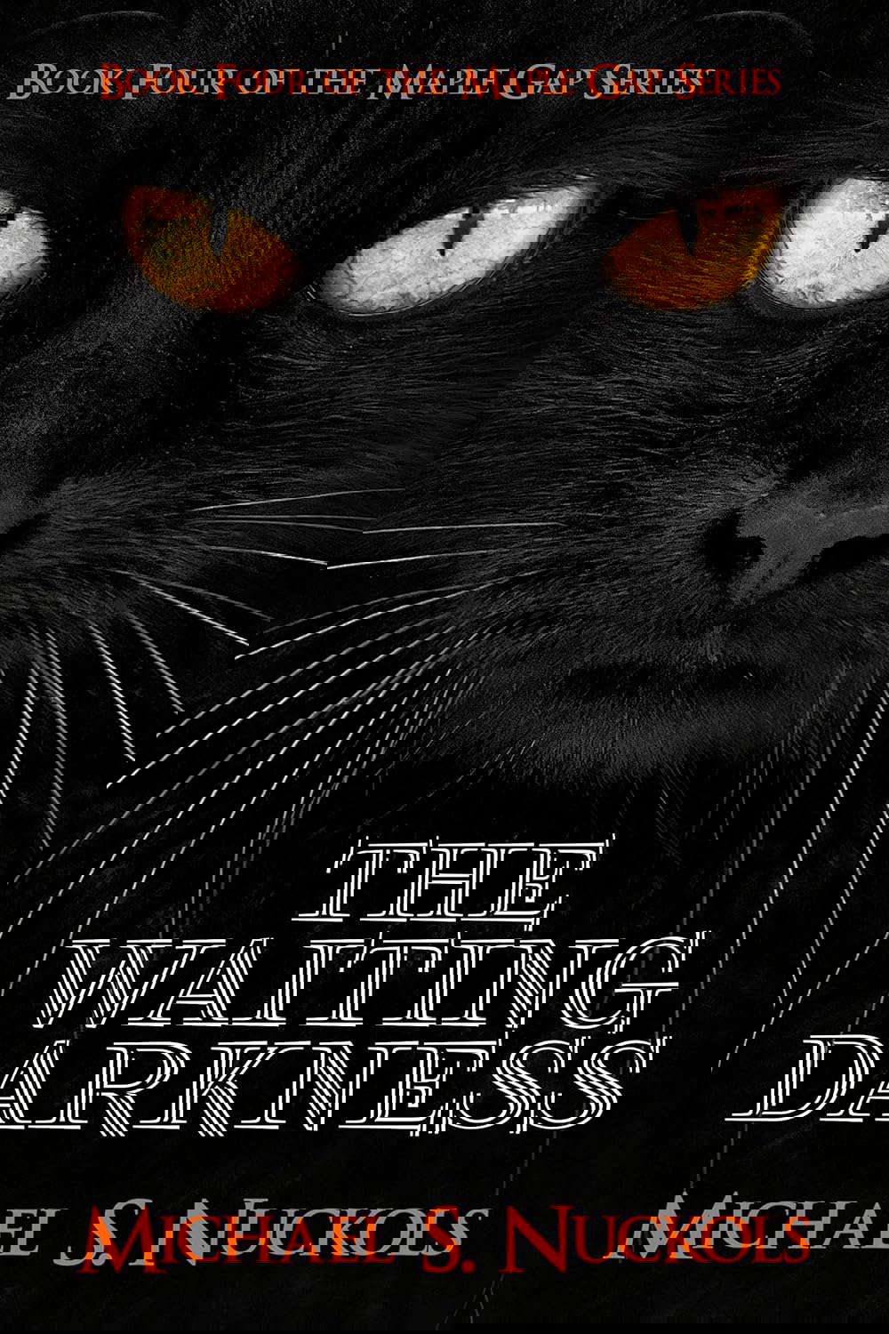 The Waiting Darkness (The Maple Gap Series Book 4) poster