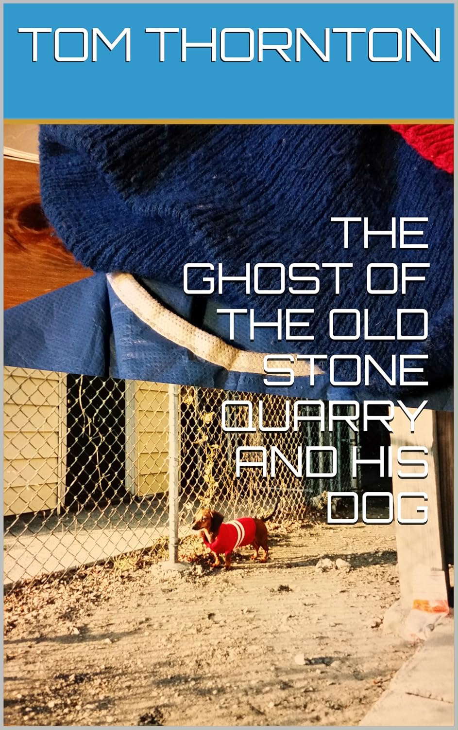THE GHOST OF THE OLD STONE QUARRY AND HIS DOG poster