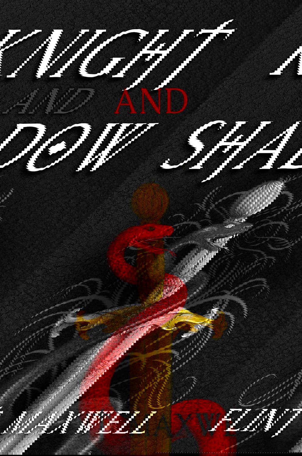 Knight and Shadow poster