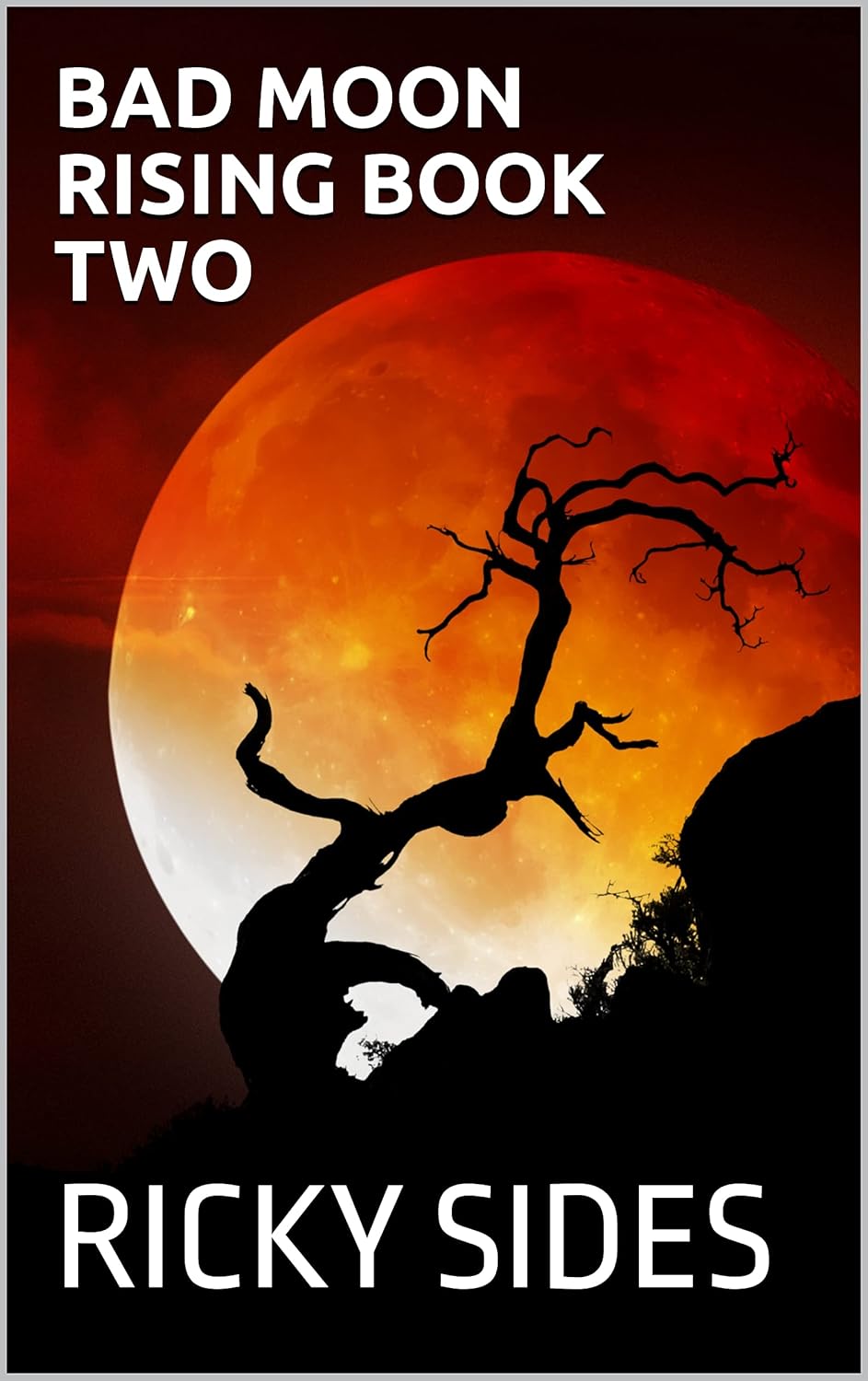 Bad Moon Rising Book Two poster