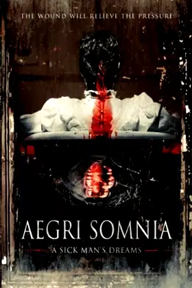 Aegri Somnia poster