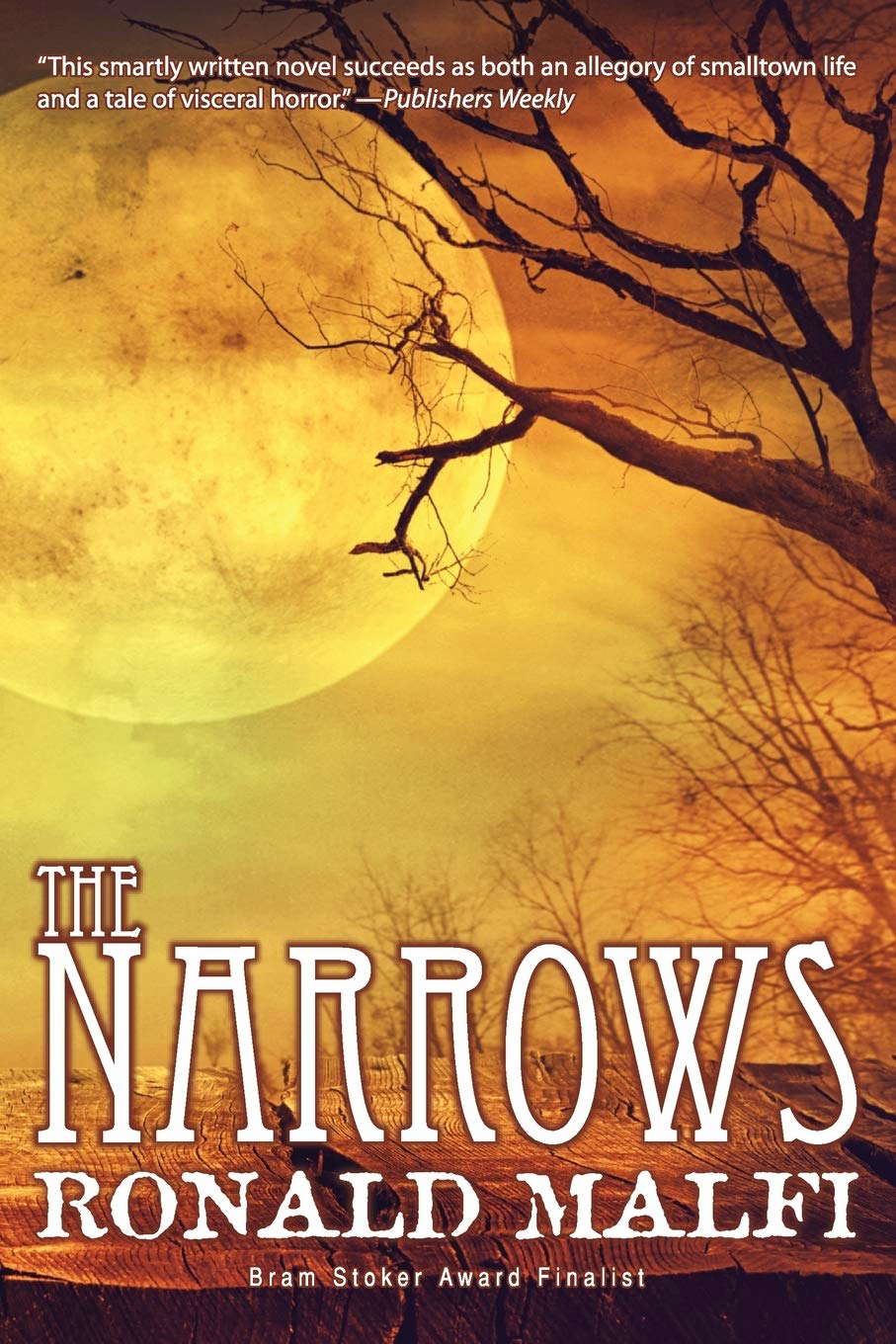The Narrows poster