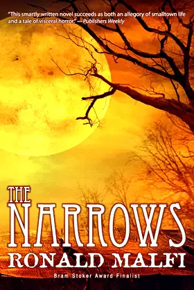 The Narrows poster