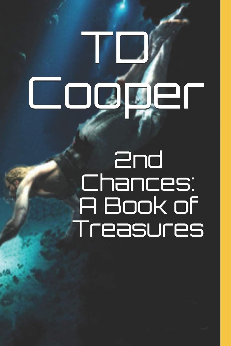 2nd Chances: A Book of Treasures poster