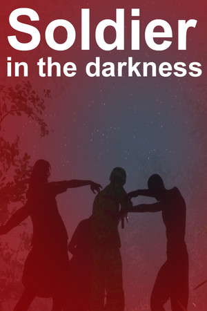Soldier in the darkness poster