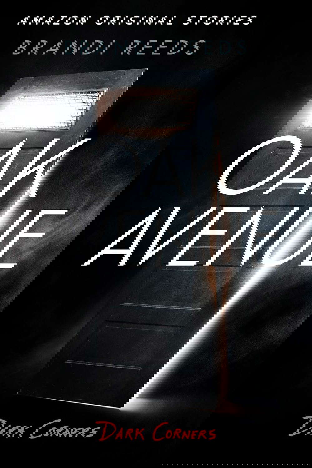 Oak Avenue (Dark Corners collection) poster