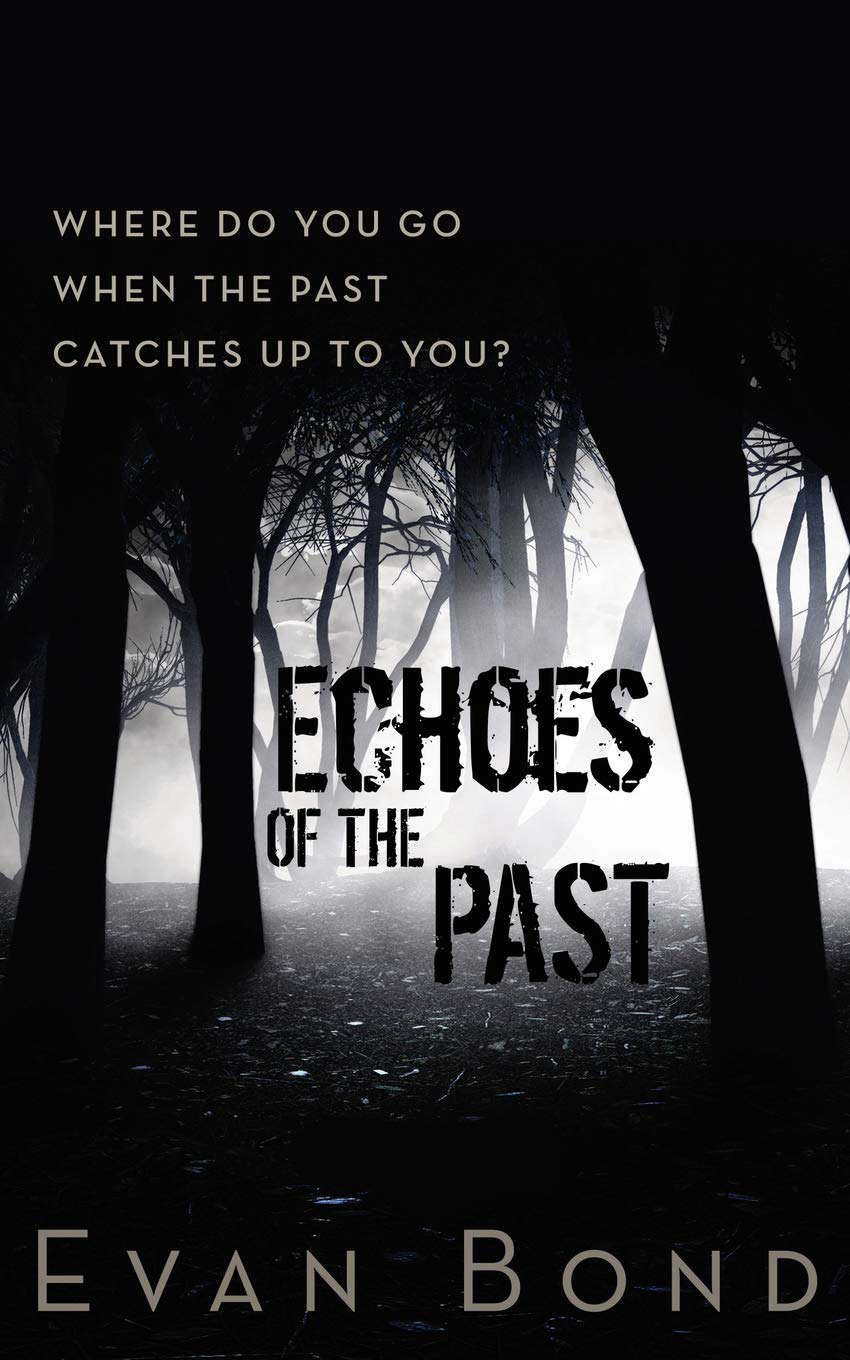 Echoes of the Past poster