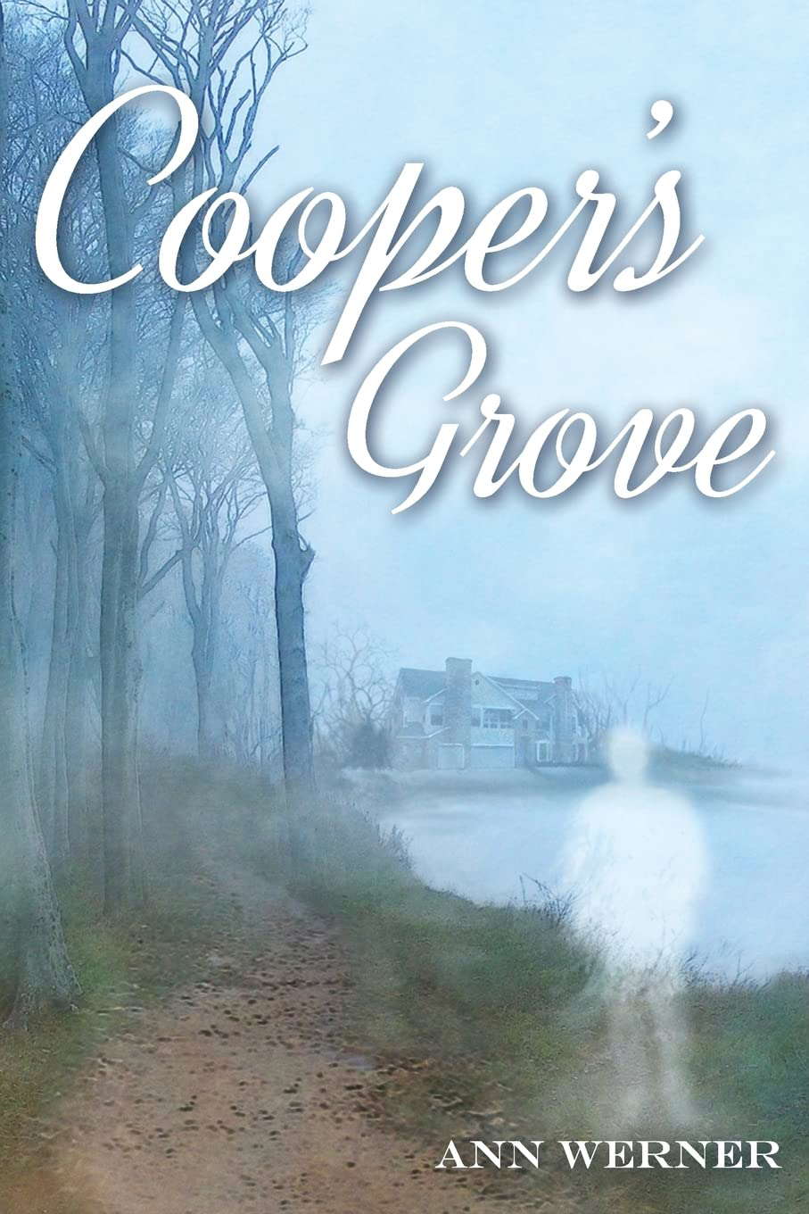 Cooper's Grove poster