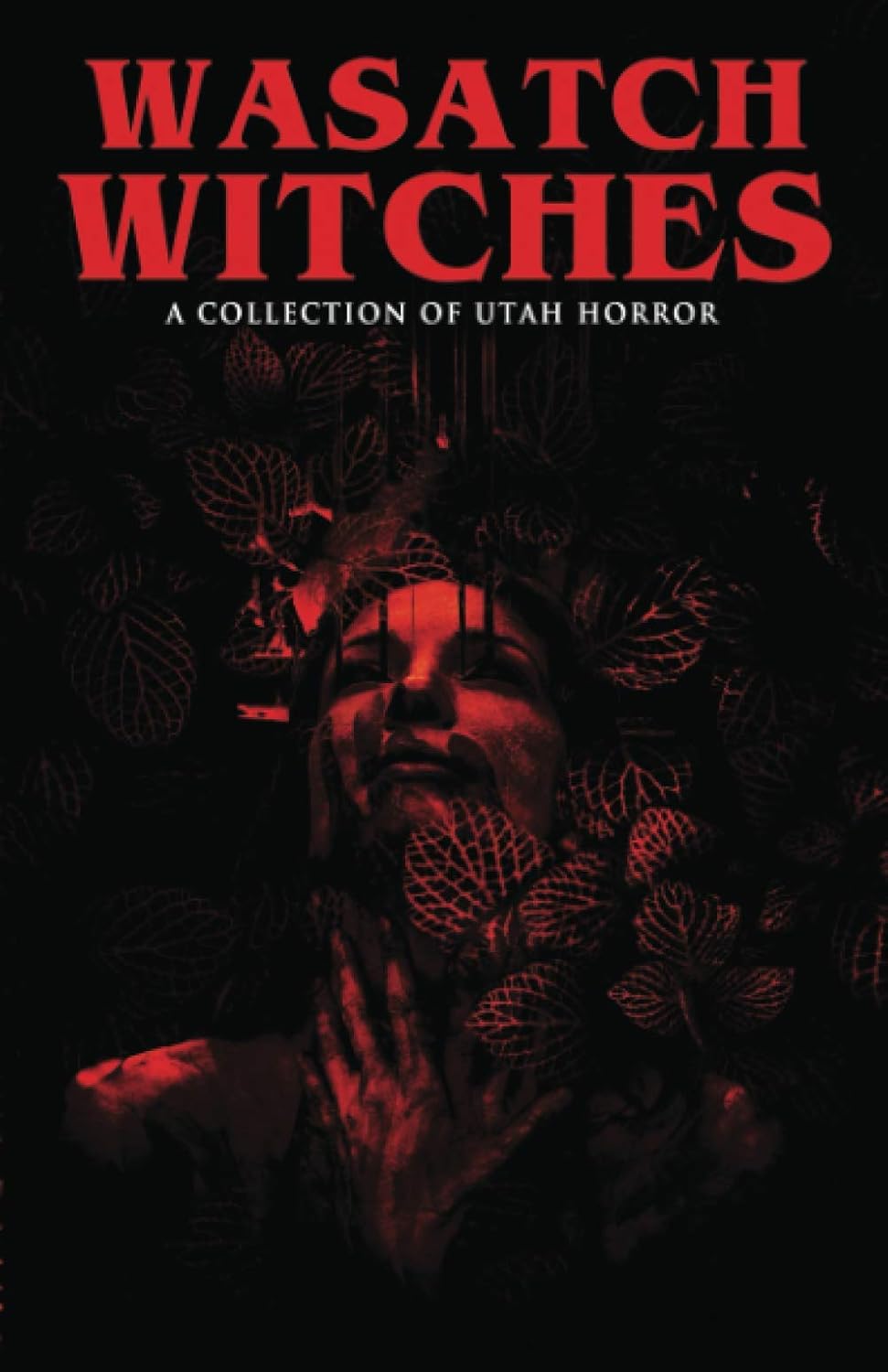 Wasatch Witches: A Collection of Utah Horror poster