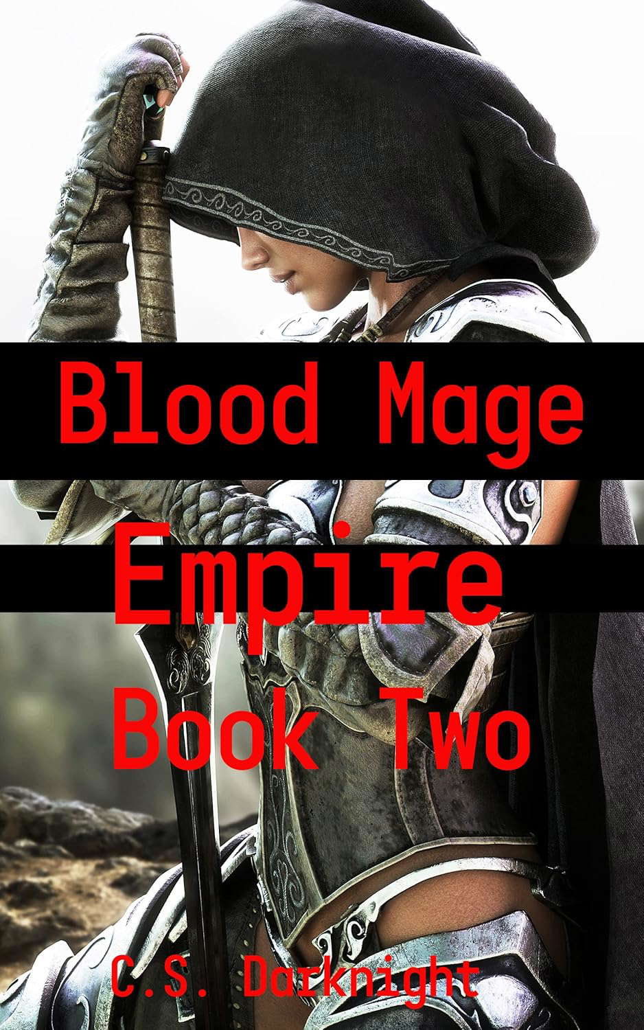 Blood Mage Empire Book Two: A Cultivation Gamelit Litrpg Harem Adventure poster