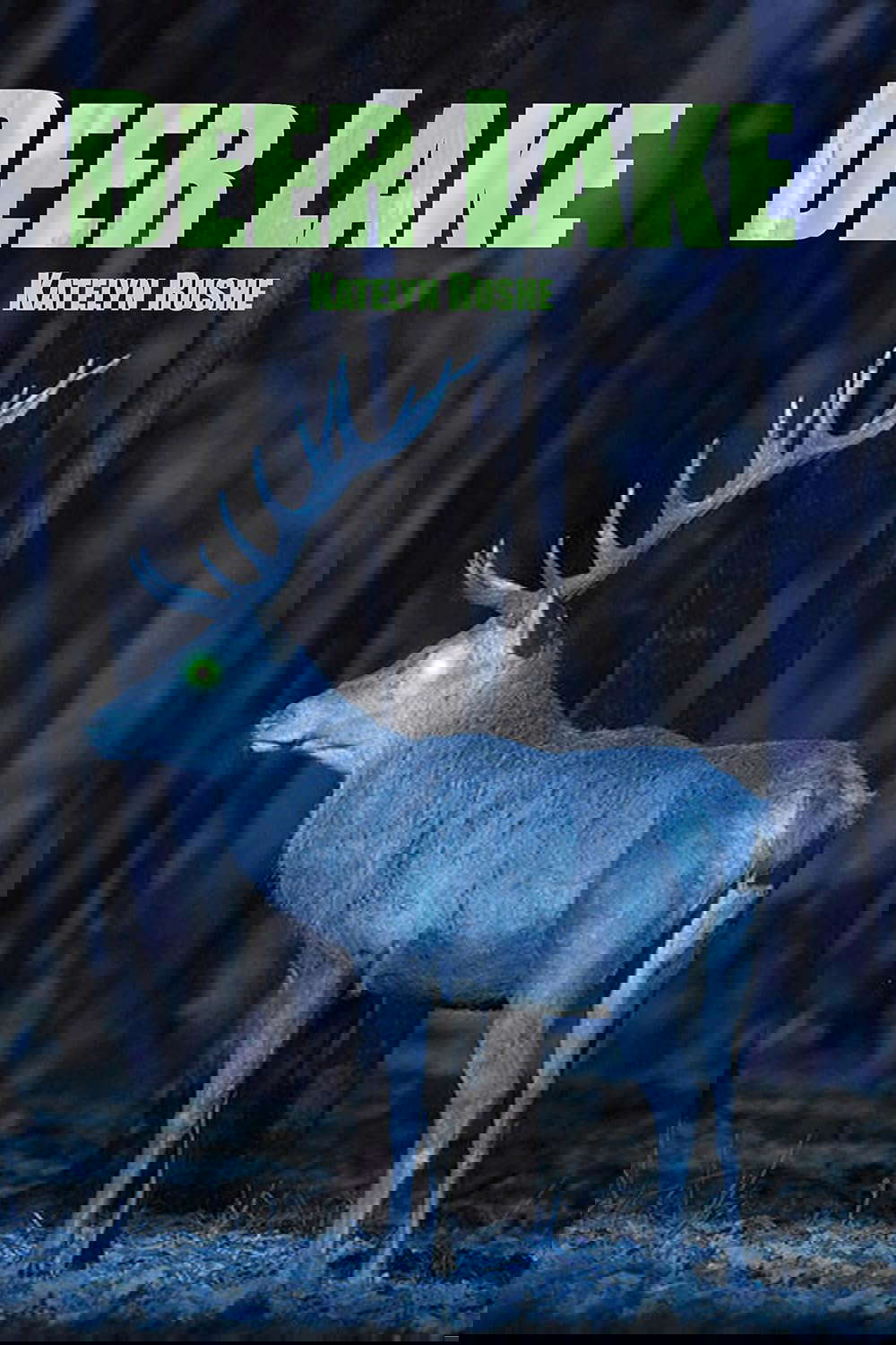 Deer Lake poster