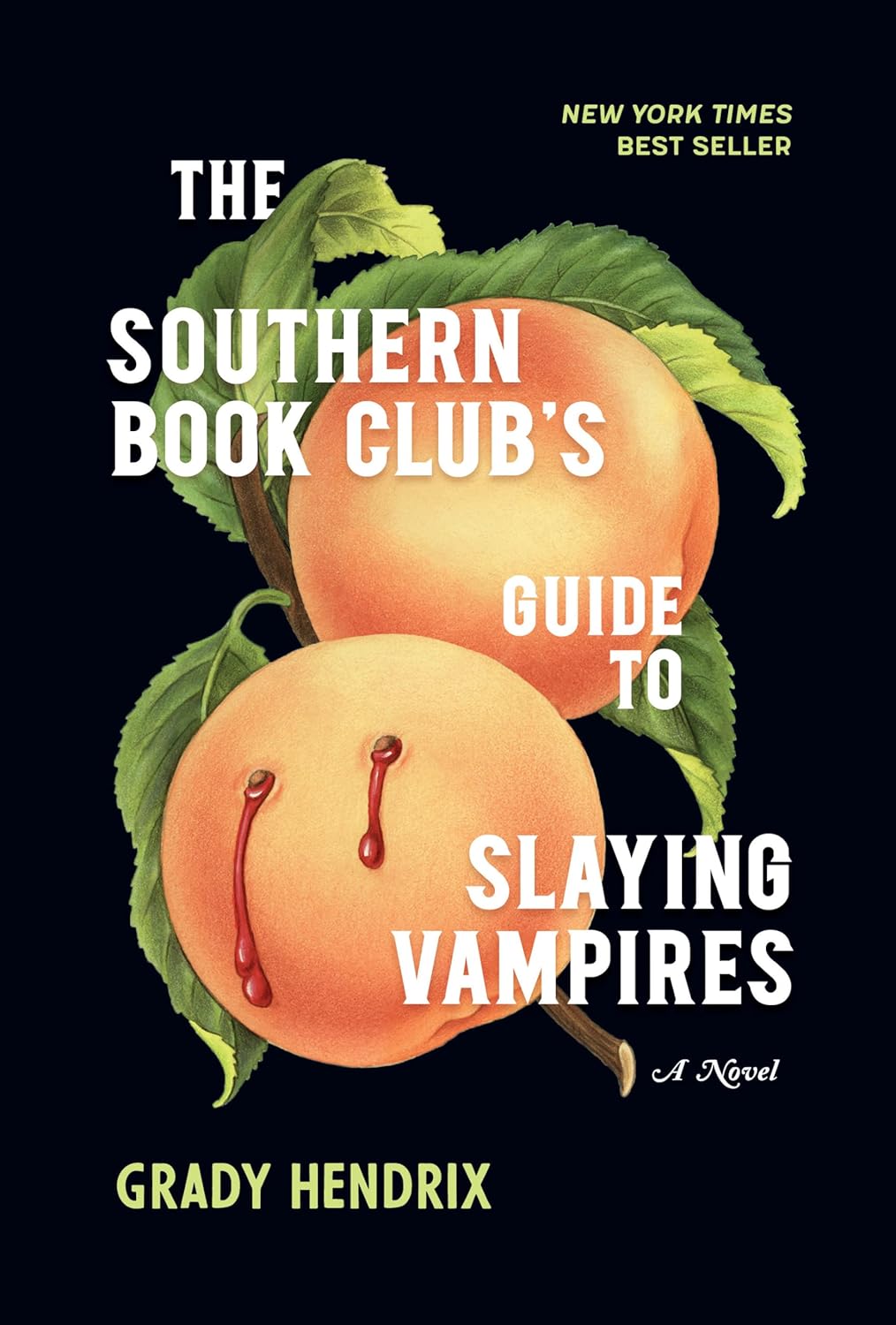 The Southern Book Club's Guide to Slaying Vampires poster