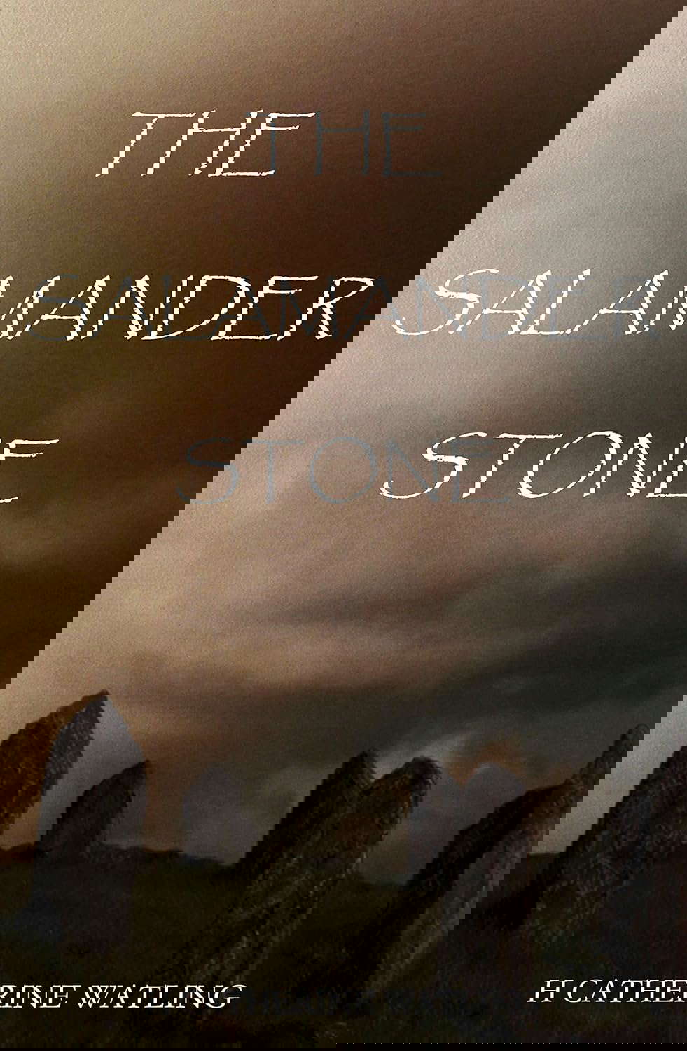 The Salamander Stone poster