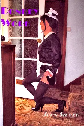 Donkey Work poster