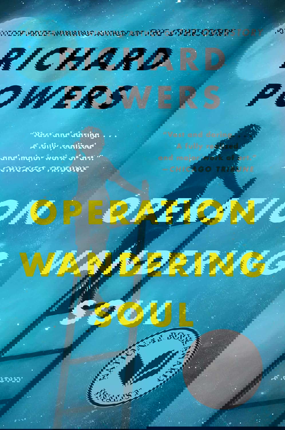 Operation Wandering Soul: A Novel poster