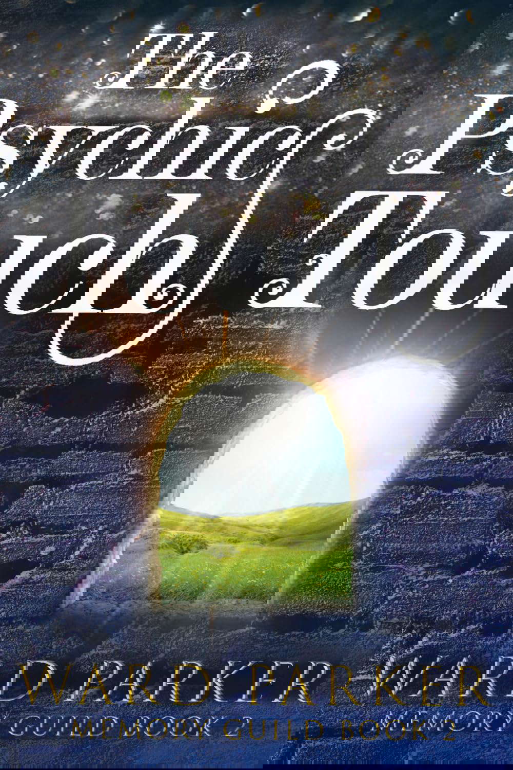 The Psychic Touch: A midlife paranormal mystery (Memory Guild) poster