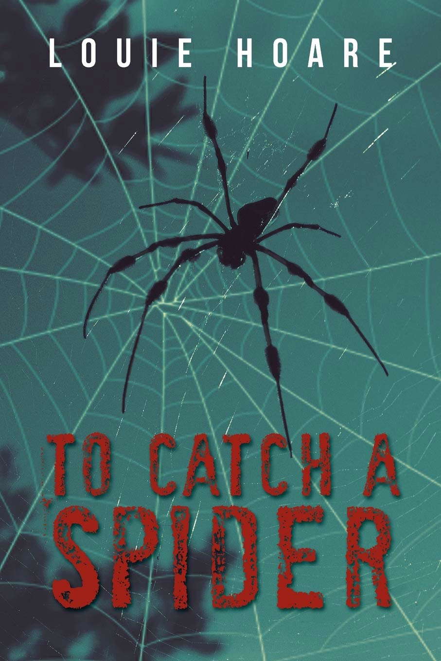 To Catch a Spider poster