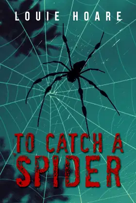 To Catch a Spider poster