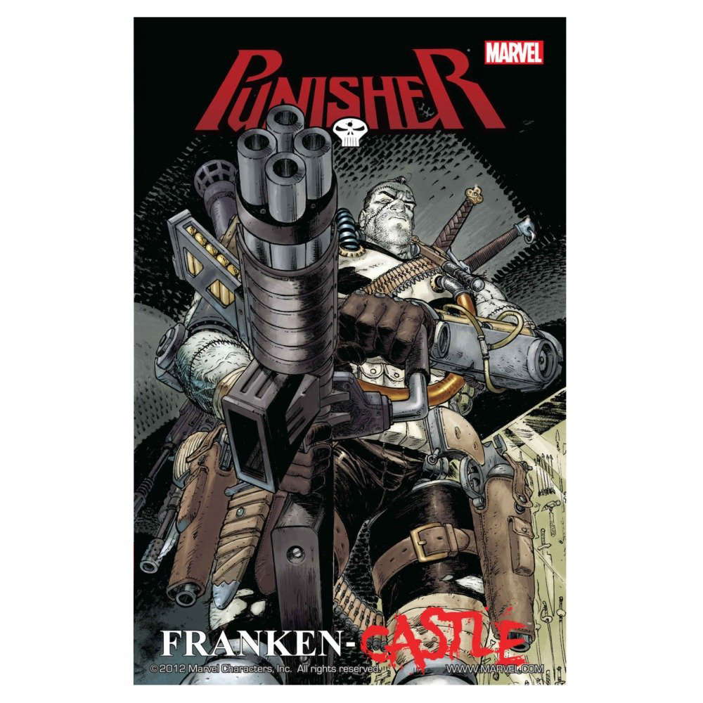 The Punisher Vol. 3: Franken-Castle poster
