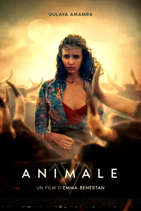 Animale poster