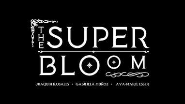 The Superbloom Full Trailer poster