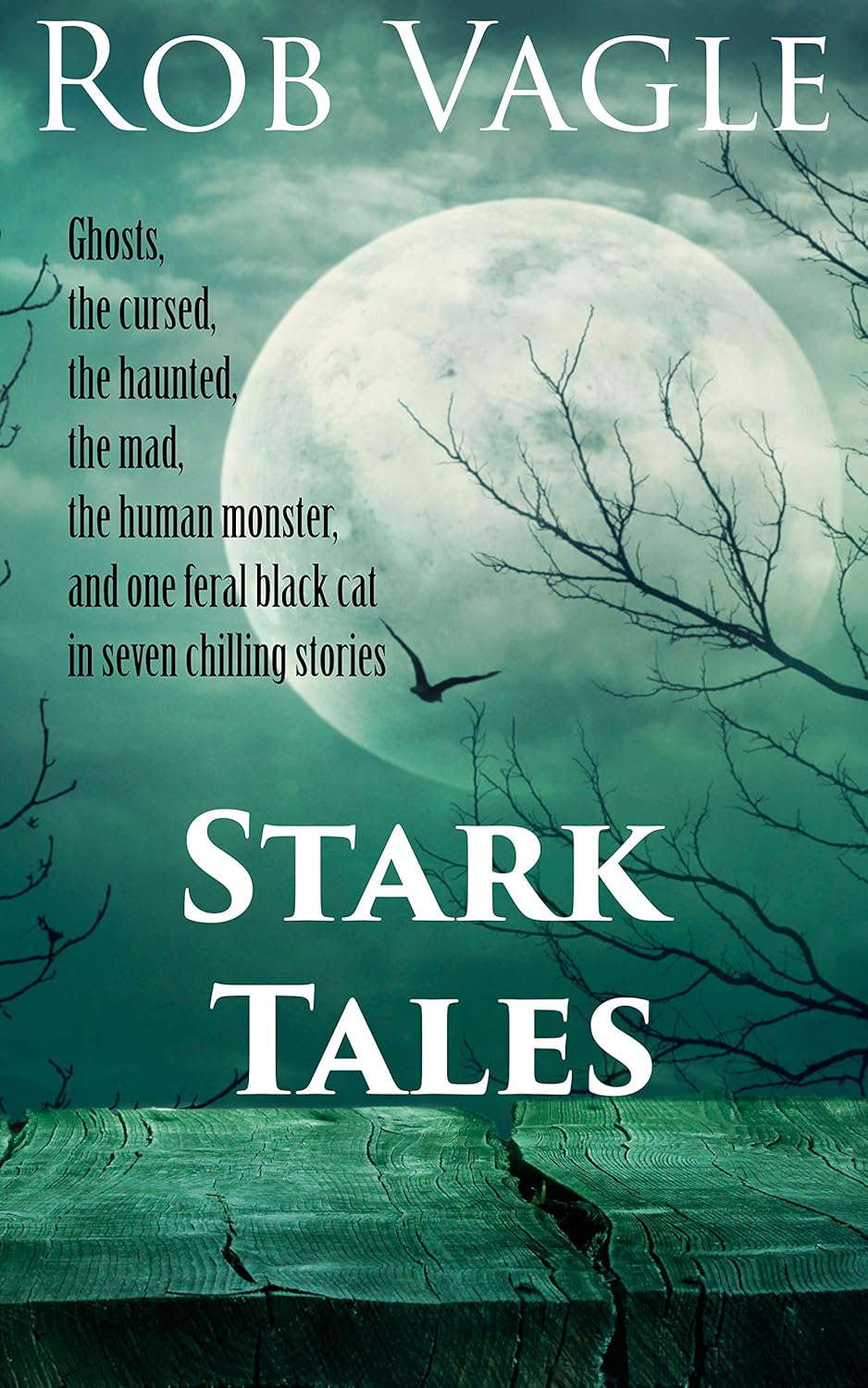 Stark Tales poster